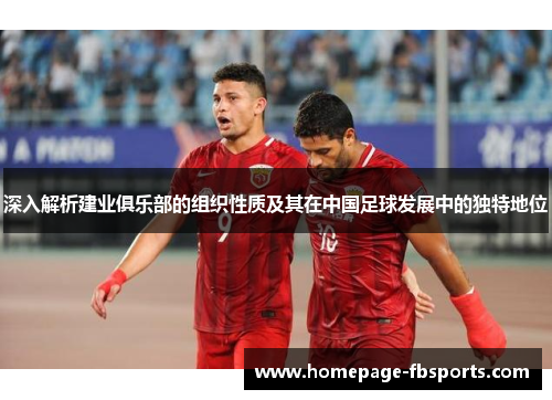 深入解析建业俱乐部的组织性质及其在中国足球发展中的独特地位