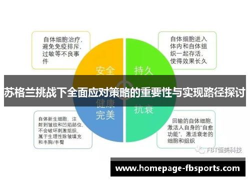 苏格兰挑战下全面应对策略的重要性与实现路径探讨